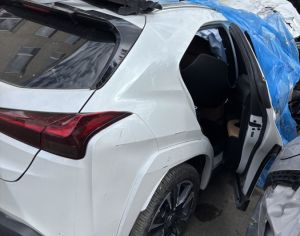 LEXUS UX250h 2023 2.0 - 5