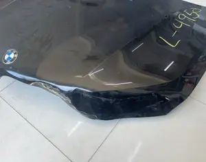 BMW X6 2020-2025 - 2