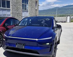 TESLA Model Y 2026 0.1