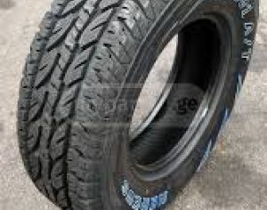 R19 255/50 Summer - 3