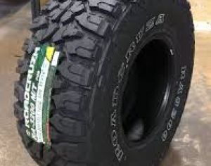R19 255/40 Summer - 9