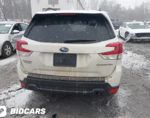 Forsteri 2019 Limited