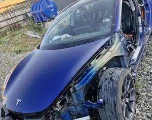 TESLA Model 3 2019 0.1 - 4