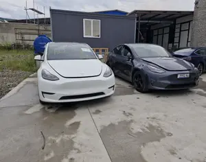 TESLA Model Y 2022 0.1