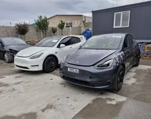 TESLA Model Y 2022 0.1 - 2