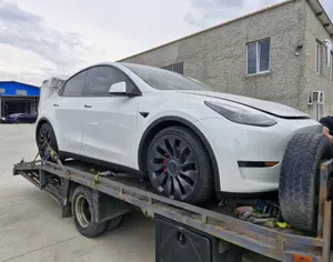 TESLA Model Y 2022 0.1 - 3
