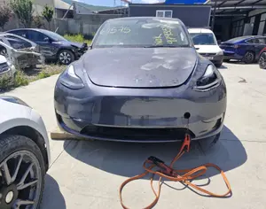 TESLA Model Y 2022 0.1 - 4