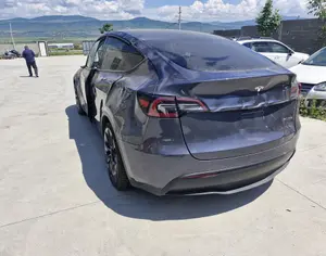 TESLA Model Y 2022 0.1 - 5