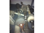PEUGEOT 406 1998-2002 - 1