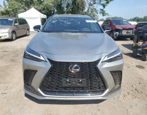 LEXUS NX 350 2024 2.4