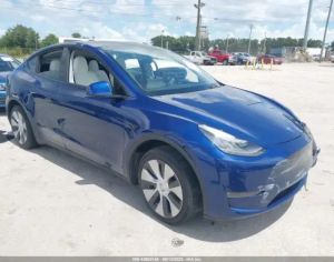 Tesla y