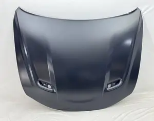 DODGE Hornet 2021-2026