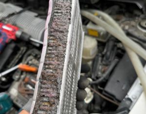TOYOTA Highlander 2005-2022 - 2
