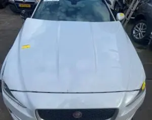 JAGUAR XE 2016-2026