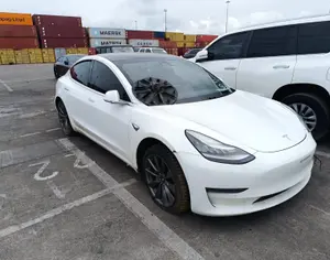 TESLA Model 3 2022 0.1 - 10