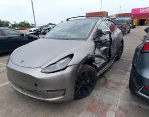 TESLA Model 3 2022 0.1 - 12