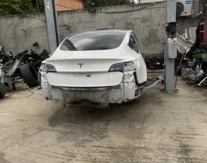 TESLA Model 3 2022 0.1 - 2