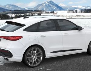 R20 AUDI Q5 2015-2025 - 2