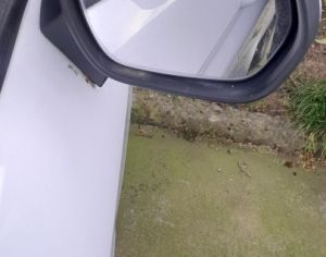 FORD Fiesta 2017-2025 - 2
