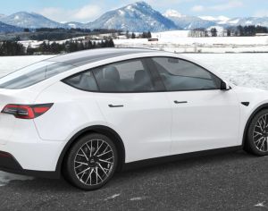 R20 TESLA Model Y 2015-2025 - 2