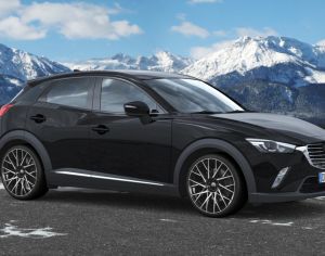 R20 TESLA Model Y 2015-2025 - 4