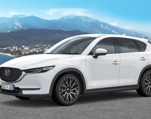 R20 TESLA Model Y 2015-2025 - 5