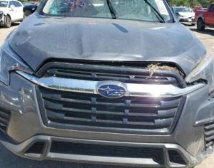 SUBARU Ascent 2019 2.4 - 2