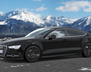 R20 AUDI Q5 2015-2025 - 4