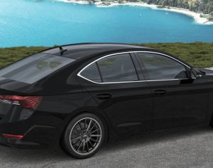 R18 SKODA SCALA 2013-2025 - 4
