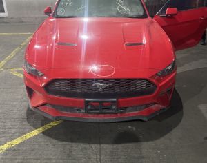 Mustang