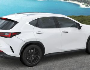 R20 LEXUS RX 300 2015-2025 - 10