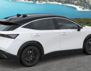 R20 LEXUS RX 300 2015-2025 - 2