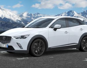 R20 LEXUS RX 300 2015-2025 - 3