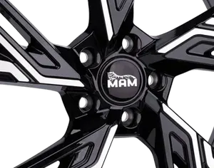 R18 LEXUS RX 450 2009-2023 - 6