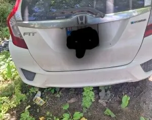 HONDA FIT 2014-2015