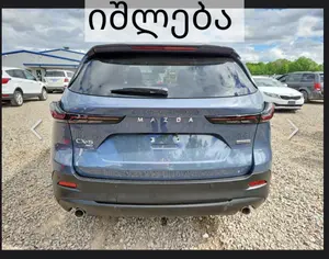 იყიდება ნაწილებად