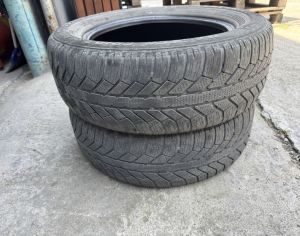 R16 205/60 ყველა სეზონი - 1