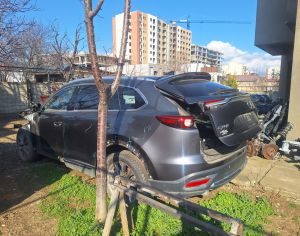 MAZDA CX-9 2019 2.5 - 10