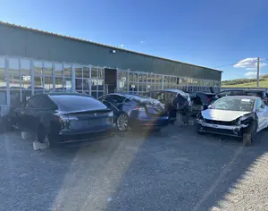 TESLA Model 3 2020 0.1 - 2