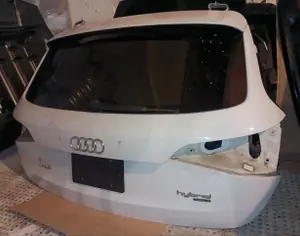 AUDI Q5 2009-2017 - 1