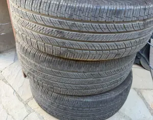 R18 255/60 ყველა სეზონი - 1