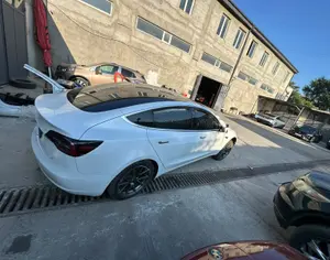 TESLA Model 3 2023 0.1 - 5