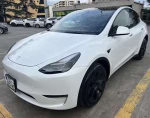 TESLA Model Y 2019-2024 - 6