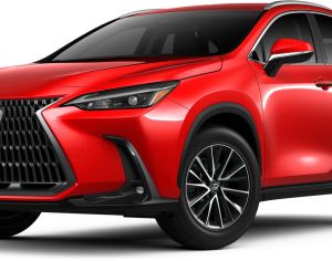 LEXUS NX 250 2023 2.5 - 1