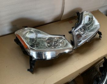 NISSAN FUGA 04-08 HALOGEN
