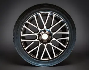 R17 GAC GS4 MAX 2024 - 1