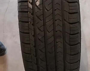 R17 GAC GS4 MAX 2024 - 3