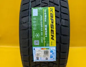 R19 255/55 Зима - 9