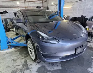 TESLA Model 3 2022 0.1 - 2