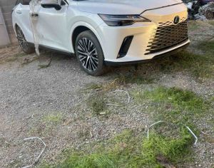 LEXUS RX 350 2024 2.5 - 3